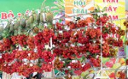 300 loại quả lạ xuất hiện ở Lễ hội trái cây Nam bộ