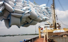 7 tháng xuất khẩu được hơn 4,5 triệu tấn gạo