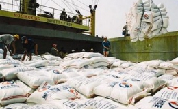 Đồng bằng sông Cửu Long: Xuất khẩu 4,1 triệu tấn gạo