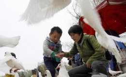 Trung Quốc: Thêm một người tử vong do virus cúm A(H7N9)