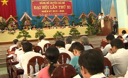 Khai mạc Đại hội Đại biểu Đảng bộ huyện Cái Bè lần thứ XI, nhiệm kỳ 2015-2020
