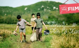 125 phim tham gia Liên hoan phim Việt Nam 2015