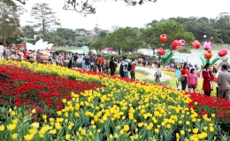 Festival Hoa Đà Lạt diễn ra trong 5 ngày