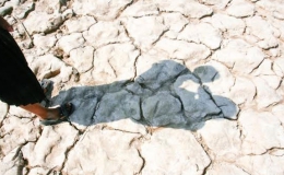 Một số địa phương ở Campuchia thiếu nước trầm trọng do hạn hán