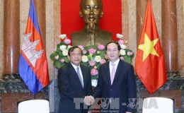 Chủ tịch nước Trần Đại Quang tiếp khách quốc tế