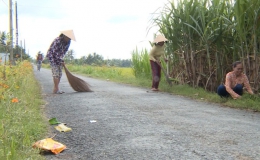 Nông dân Tiền Giang xây dựng được 13 tuyến đường xanh – sạch – đẹp