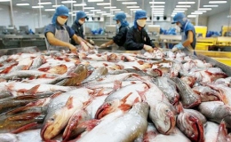 Xuất khẩu cá tra đạt trên 1,75 tỷ USD