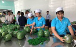 Đại gia bán lẻ Thái Lan mở trạm trung chuyển trái cây ở miền Tây