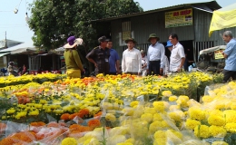 Lãnh đạo UBND tỉnh Tiền Giang kiểm tra đường hoa, chợ hoa các địa phương