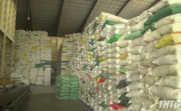 Doanh nghiệp Tiền Giang đề nghị sớm cho xuất khẩu lúa gạo trở lại