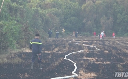 Đốt rơm rạ gây cháy rừng tại huyện Châu Thành   