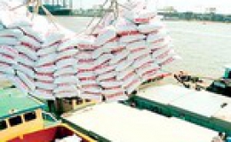 Tiền Giang xuất khẩu trên 115.000 tấn gạo .