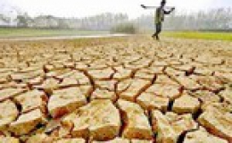 Biến đổi khí hậu đe dọa nông nghiệp châu Phi