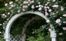 Những chiếc cổng lãng mạn cho biệt thự nhà vườn