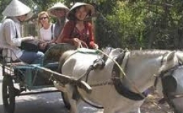 Du lịch bằng xe ngựa ở Thới Sơn