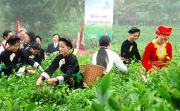 Sôi động Lễ hội trà Đại Từ, Thái Nguyên