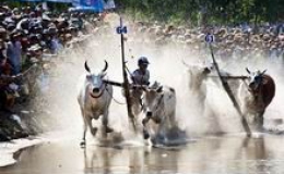 Tổ chức Ngày hội văn hóa, thể thao, du lịch vùng đồng bào Khmer