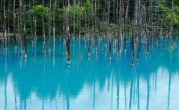 Ao nước xanh da trời kỳ lạ ở Nhật