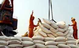 Xuất khẩu gạo đạt 1,324 triệu tấn