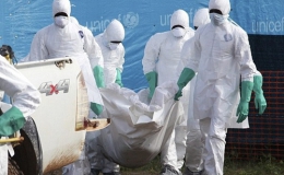 Tìm ra tung tích đại dịch Ebola