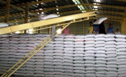 ĐBSCL khan hiếm nguồn gạo xuất khẩu