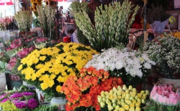 Rực rỡ sắc màu chợ hoa Quảng An