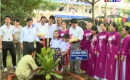 Trao tặng cây bàng  vuông quần đảo Trường Sa cho các trường học trong tỉnh