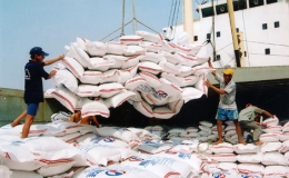 Tăng cường quản lý xuất khẩu gạo