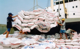 Đã xuất khẩu được gần 4,4 triệu tấn gạo