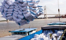 Việt Nam trúng thầu cung cấp 200.000 tấn gạo cho Philippines