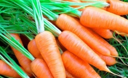 Lợi ích của cà rốt