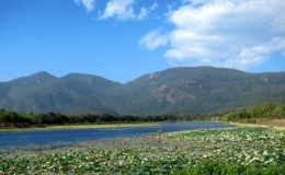 Công nhận Vườn Quốc gia Côn Đảo là Khu Ramsar thứ 6 của Việt Nam