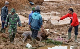 Thảm họa lở đất ở Indonesia khiến 12 người chết, 96 người mất tích
