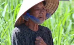 Hoàn cảnh gia đình bà Nguyễn Thị Lúa