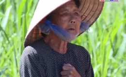 Mái ấm nghĩa tình “Hoàn cảnh gia đình bà Nguyễn Thị Lúa”
