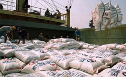 Mua tạm trữ 1 triệu tấn quy gạo từ ngày 1/3
