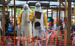 Anh là quốc gia đầu tiên đóng góp cho Quỹ chống Ebola của IMF