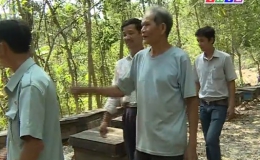 Câu chuyện pháp luật “Phòng chống cháy rừng ở huyện Tân Phước”