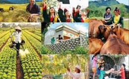 Ngân hàng Thế giới thông qua khoản tín dụng 100 triệu USD hỗ trợ Việt Nam giảm nghèo