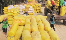 Tiền Giang hoàn thành chỉ tiêu mua lúa gạo tạm trữ vụ đông xuân 2015