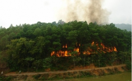 9 tỉnh có nguy cơ cháy rừng ở cấp cực kỳ nguy hiểm