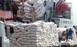 Xuất khẩu gạo của Campuchia đạt hơn 200 ngàn tấn trong 4 tháng đầu năm