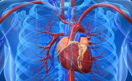 Phương pháp mới giúp nhận dạng tế bào gốc chữa bệnh tim
