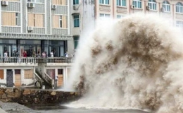 Bão Chan-hom gây thiệt hại nặng nề ở Trung Quốc