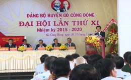 Khai mạc Đại hội đại biểu Đảng bộ huyện Gò Công Đông lần thứ XI nhiệm kỳ 2015-2020