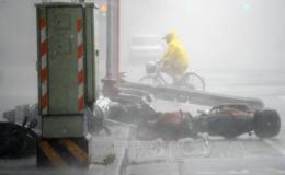 Siêu bão Soudelor hoành hành ở Đài Loan (Trung Quốc), ít nhất 6 người thiệt mạng