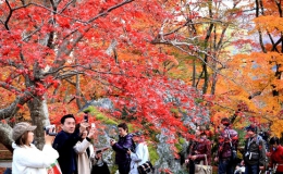 Xao xuyến mùa thu ở cố đô Kyoto Nhật Bản