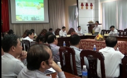 Hội thảo ” Triển khai chính  sách hỗ trợ vốn tín dụng liên kết chuỗi giá trị lúa gạo”.