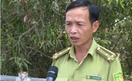 Câu chuyện pháp luật “Ứng phó với nguy cơ cháy rừng ở huyện Tân Phước”