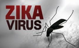 “Việt Nam có 2 ca nhiễm virus Zika đầu tiên”